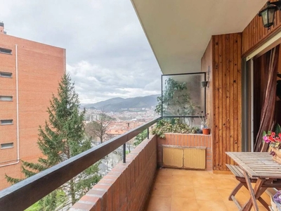 Venta Piso Bilbao. Piso de cuatro habitaciones en Grupo Mirador a Bilbao. Buen estado primera planta con terraza calefacción central
