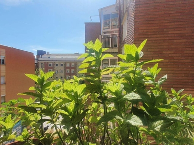 Venta Piso en Calle de Alcala. Madrid. A reformar cuarta planta calefacción central