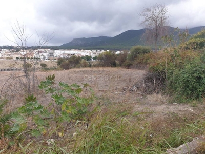 Venta Piso Alhaurín El Grande. Buen estado