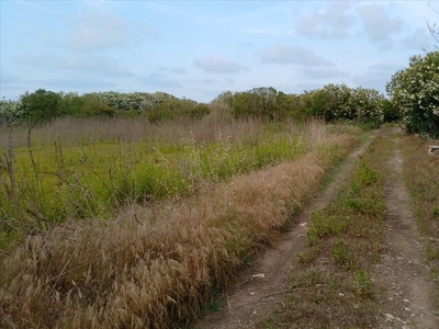 Terreno Venta Cullera