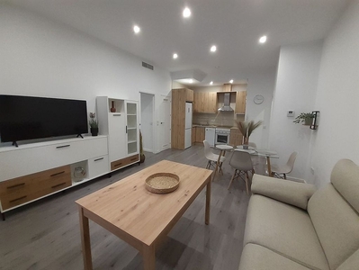 Piso en alquiler en Ollerías - San Cayetano de 1 habitación con muebles y aire acondicionado