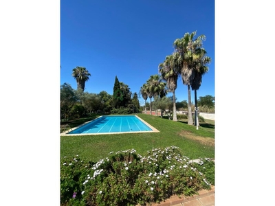 Venta de casa con piscina en Carretera de Olivenza (Badajoz), Carretera de Olivenza