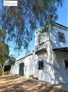 Venta Casa rústica en castilleja de talhara Benacazón. 250 m²