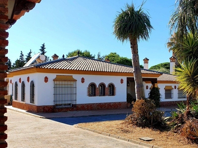 Venta Casa unifamiliar Puerto Real. Con terraza 369 m²