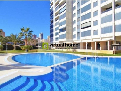 Venta Piso Benidorm. Piso de una habitación 14 con terraza