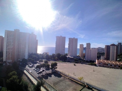 Venta Piso Benidorm. Piso de una habitación en cuba. Novena planta con terraza