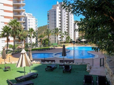 Venta Piso Villajoyosa - La Vila Joiosa. Piso de una habitación 11 con terraza