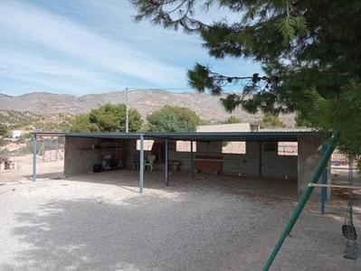 Casa con terreno en Crevillent