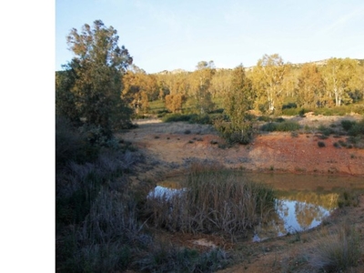 Finca rústica Los Balancines.