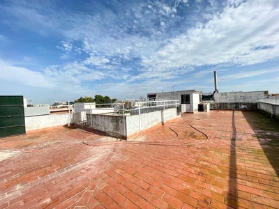 Venta Casa unifamiliar Jerez de la Frontera. Muy buen estado plaza de aparcamiento con terraza 206 m²