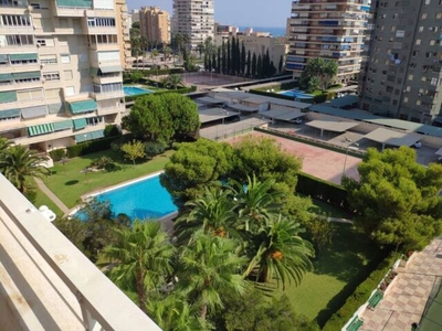 Alquiler de dúplex con piscina y terraza en Playa San Juan (Alicante)