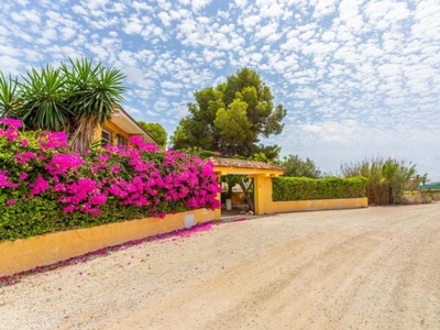 Casa con terreno en Los Montesinos