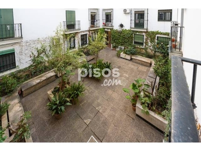 Loft en alquiler en Calle San Roque en Alfalfa por 900 €/mes