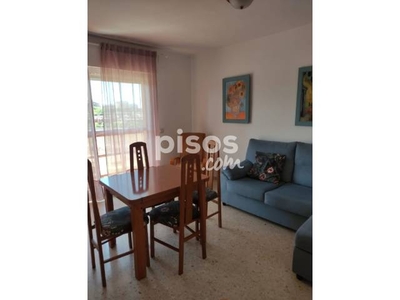 Piso en alquiler en Calle Tigris, nº s/n en Parque Alcosa-Jardines del Edén por 650 €/mes