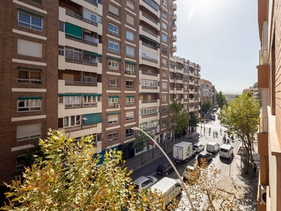 Piso en venta en Pajaritos - Plaza de Toros, Granada ciudad, Granada