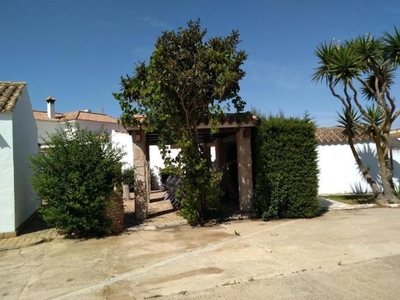 4 casas en Cádiz
