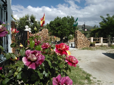 Casa En Cúllar, Granada