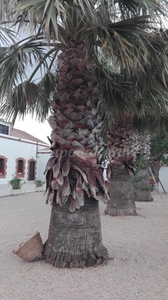 Casa En Deltebre, Tarragona