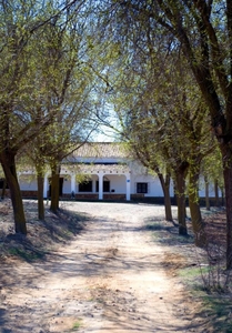 Casa En Pétrola, Albacete