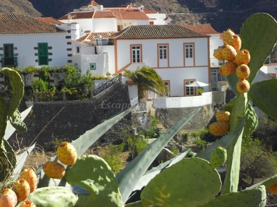 Casa En Tejeda, Las Palmas