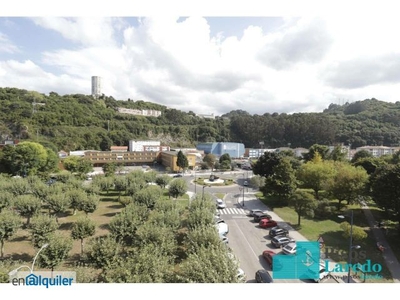 Alquiler piso terraza y ascensor Centro