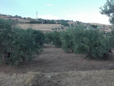 Chalet en Malpartida de Plasencia