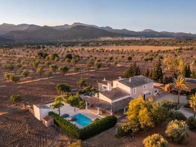 Finca/Casa Rural en venta en Binissalem, Mallorca