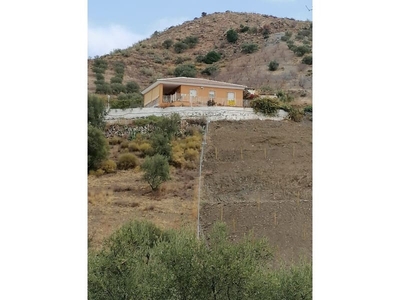 Finca/Casa Rural en venta en Canillas de Aceituno, Málaga