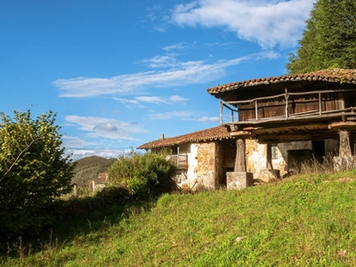 Finca/Casa Rural en venta en Grado, Asturias