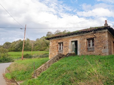 Finca/Casa Rural en venta en Grado, Asturias