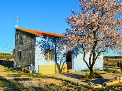 Finca/Casa Rural en venta en Jumilla, Murcia