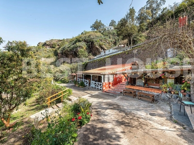 Finca/Casa Rural en venta en Valleseco, Gran Canaria