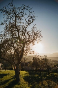 Íntegro/Habitaciones en Asturias