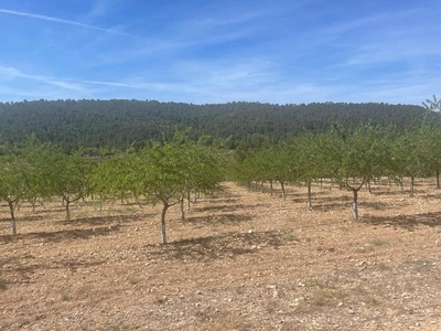 Solar/Parcela en venta en La Romana, Alicante