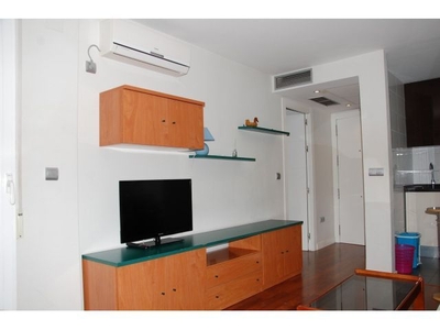 Apartamento de 1 dormitorio en Avenida Madrid