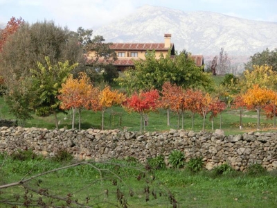 Alquiler Integro en Cáceres