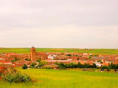 Alquiler Integro en Valladolid