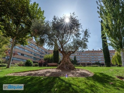 Alquiler piso amueblado ascensor Madrid