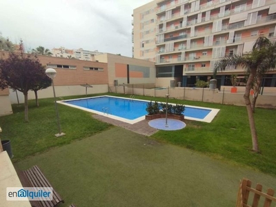 Alquiler piso piscina Campoamor-carolinas-altozano