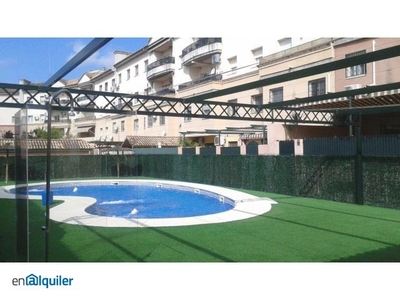 Alquiler piso terraza Centro - doña mercedes