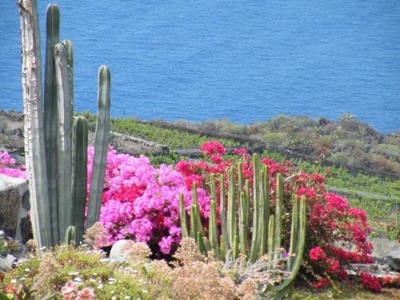 2 casas en La Palma