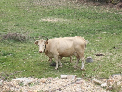 Alquiler Integro en Salamanca