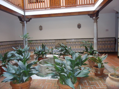 Alquiler de piso con terraza en Realejo (Granada)