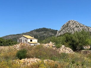 Finca/Casa Rural en venta en Llucmajor, Mallorca