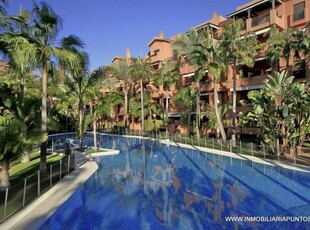 Piso en alquiler en calle Rector Pascual Rivas Carrera de 2 habitaciones con terraza y piscina