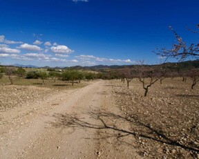 Solar/Parcela en venta en Murcia ciudad, Murcia