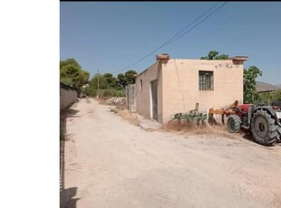 Terreno rustico con almacén de 65m con Almendros - Olivos - Higueras