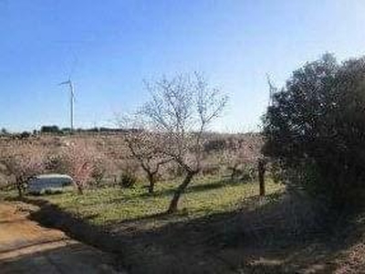 Terreno no urbanizable en venta en la Camí de la Serra de Mossén Ferret' Gandesa