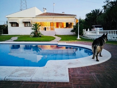 Venta de casa con piscina y terraza en Peña de las Águilas (Elche (Elx)), PEÑA LAS AGUILAS