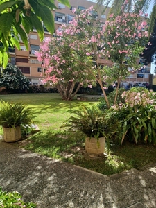 Apartamento en venta en Huerta Belón - Calvario, Marbella, Málaga